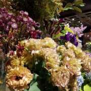 ありさ お知らせです 渋谷蘭の会