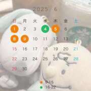 ヒメ日記 2025/06/03 21:42 投稿 くらげ プレミアム(福原)