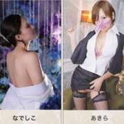 ヒメ日記 2025/05/05 12:01 投稿 なでしこ 横浜人妻花壇本店