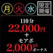 ヒメ日記 2025/08/05 09:05 投稿 なでしこ 横浜人妻花壇本店