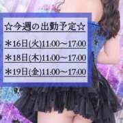 ヒメ日記 2025/09/15 11:44 投稿 なでしこ 横浜人妻花壇本店