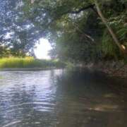 ヒメ日記 2025/08/24 16:31 投稿 えま 所沢デリヘル桜