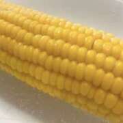 ヒメ日記 2025/09/03 16:14 投稿 えま 所沢デリヘル桜