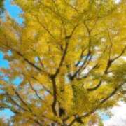 ヒメ日記 2025/11/20 19:53 投稿 【さや】清楚な癒し系美女♪ コーチと私と、ビート板･･･