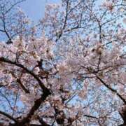 ヒメ日記 2026/04/02 21:33 投稿 【さや】清楚な癒し系美女♪ コーチと私と、ビート板･･･