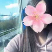 ヒメ日記 2025/04/19 14:20 投稿 さくら PLEASURE