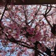 ヒメ日記 2025/03/24 23:18 投稿 菜乃花 モアグループ所沢人妻城