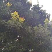 ヒメ日記 2025/10/09 21:33 投稿 菜乃花 モアグループ所沢人妻城