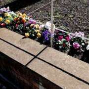 ヒメ日記 2025/03/07 09:45 投稿 そのか 横浜人妻セレブリティ（ユメオト）