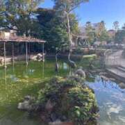 ヒメ日記 2025/01/28 13:49 投稿 玉依 Arrest（アレスト）