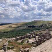 ヒメ日記 2025/02/04 14:21 投稿 玉依 Arrest（アレスト）