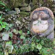 ヒメ日記 2025/02/09 21:12 投稿 玉依 Arrest（アレスト）