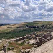 ヒメ日記 2025/02/18 19:39 投稿 玉依 Arrest（アレスト）