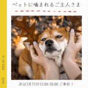 ヒメ日記 2025/03/14 18:15 投稿 玉依 Arrest（アレスト）