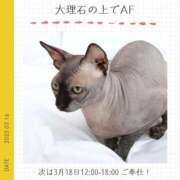 ヒメ日記 2025/03/16 22:15 投稿 玉依 Arrest（アレスト）