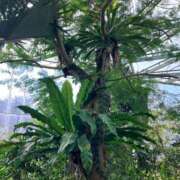 ヒメ日記 2025/03/22 07:01 投稿 玉依 Arrest（アレスト）