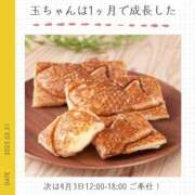 ヒメ日記 2025/03/31 18:03 投稿 玉依 Arrest（アレスト）