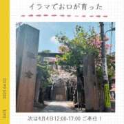 ヒメ日記 2025/04/03 23:24 投稿 玉依 Arrest（アレスト）
