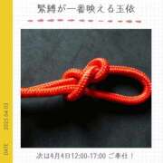 ヒメ日記 2025/04/03 23:48 投稿 玉依 Arrest（アレスト）