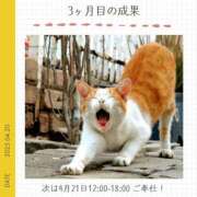 ヒメ日記 2025/04/20 22:07 投稿 玉依 Arrest（アレスト）