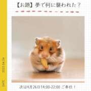 ヒメ日記 2025/04/24 16:45 投稿 玉依 Arrest（アレスト）