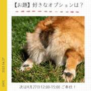 ヒメ日記 2025/04/27 23:59 投稿 玉依 Arrest（アレスト）