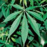 ヒメ日記 2025/05/10 23:57 投稿 玉依 Arrest（アレスト）