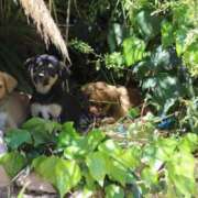 ヒメ日記 2025/05/31 21:53 投稿 玉依 Arrest（アレスト）