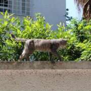 ヒメ日記 2025/06/01 21:00 投稿 玉依 Arrest（アレスト）