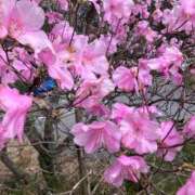 ヒメ日記 2025/06/02 16:56 投稿 玉依 Arrest（アレスト）