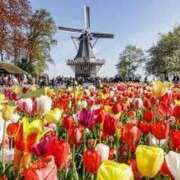 ヒメ日記 2025/06/13 18:02 投稿 玉依 Arrest（アレスト）