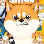 ヒメ日記 2025/07/12 21:48 投稿 玉依 Arrest（アレスト）