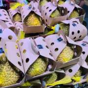 ヒメ日記 2025/07/12 23:45 投稿 玉依 Arrest（アレスト）