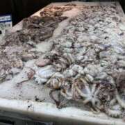 ヒメ日記 2025/10/24 14:37 投稿 玉依 Arrest（アレスト）