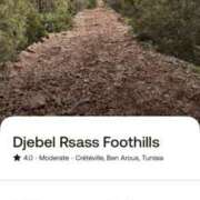 ヒメ日記 2025/11/11 18:55 投稿 玉依 Arrest（アレスト）