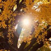 ヒメ日記 2025/12/01 15:22 投稿 玉依 Arrest（アレスト）