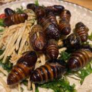 ヒメ日記 2026/03/14 23:45 投稿 玉依 Arrest（アレスト）