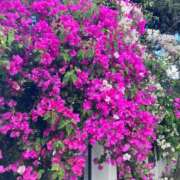 ヒメ日記 2026/03/29 20:36 投稿 玉依 Arrest（アレスト）