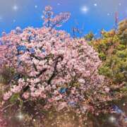 ぱく ぱくです！🥰 池袋あられ