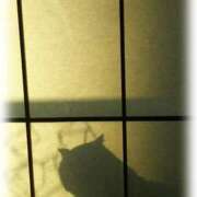 ヒメ日記 2025/05/21 02:33 投稿 あやの 熟女の風俗最終章 立川店