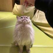 ヒメ日記 2025/05/06 18:00 投稿 宮本 鶯谷人妻城