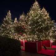 ヒメ日記 2025/12/09 22:23 投稿 宮本 鶯谷人妻城