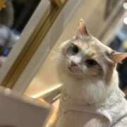 宮本 🆘アンケート🆘 鶯谷人妻城