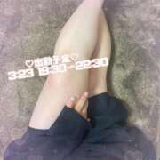 ヒメ日記 2025/04/23 13:05 投稿 かな【業界未経験】 茨城水戸ちゃんこ