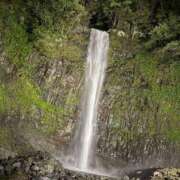 ヒメ日記 2025/08/16 19:04 投稿 サキ ニュー姫