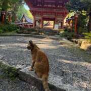 ヒメ日記 2025/09/06 19:44 投稿 サキ ニュー姫