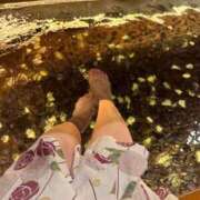 ヒメ日記 2025/11/14 19:55 投稿 サキ ニュー姫