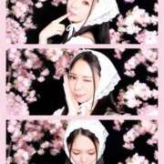 ヒメ日記 2026/03/20 19:18 投稿 サキ ニュー姫