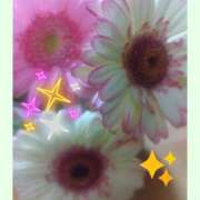 ヒメ日記 2025/03/03 23:22 投稿 みれい 横浜人妻セレブリティ（ユメオト）