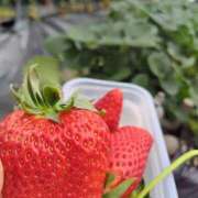 ヒメ日記 2025/03/22 23:08 投稿 みれい 横浜人妻セレブリティ（ユメオト）